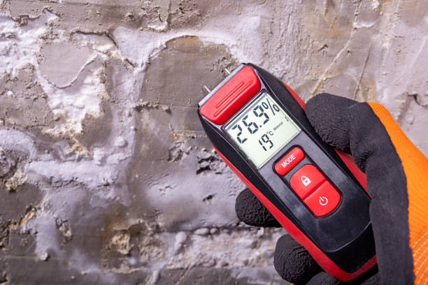 Best Emergency Mold Removal  in Waggaman, LA