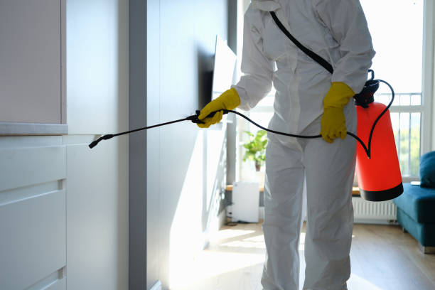 Certified Mold Removal in Waggaman, LA
